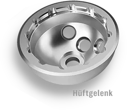 Hüftgelenk