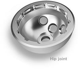 Hip joint