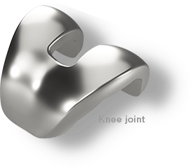 Knee joint