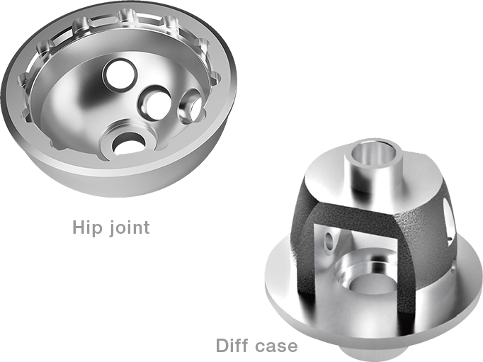 Hip joint,Diff case