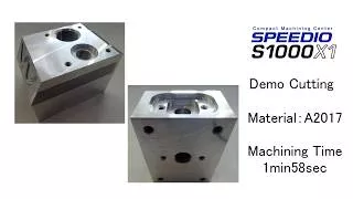 S1000X1 Multiple parts Machining