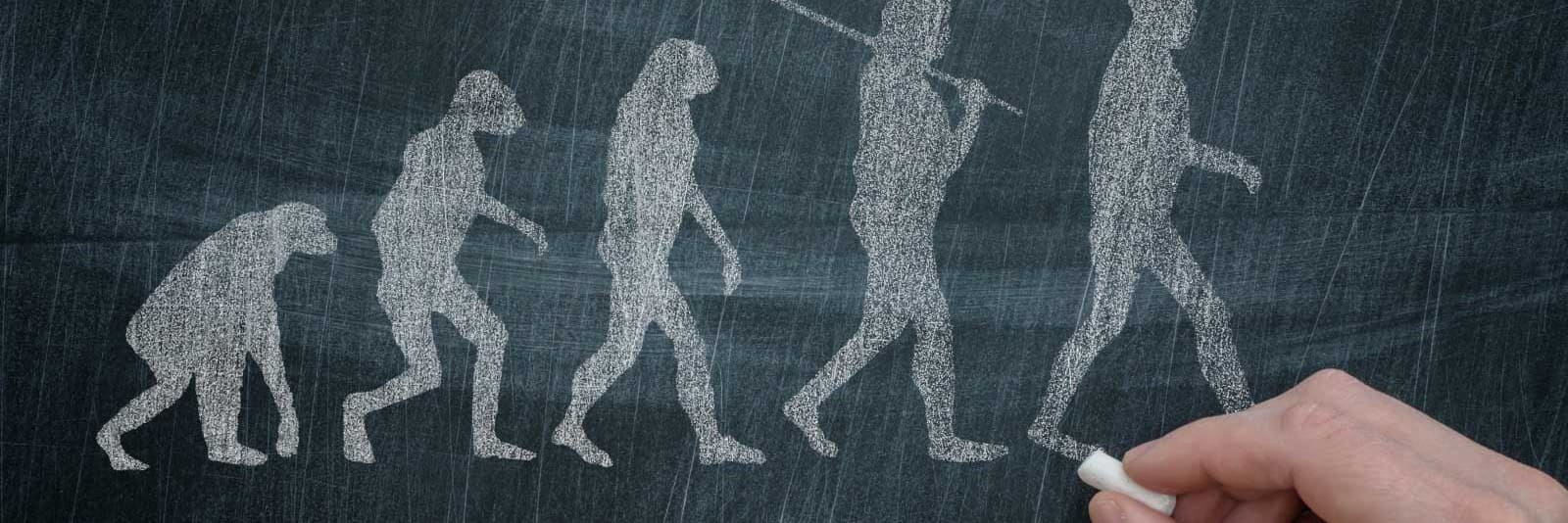 What Is the Power of the Evolving BT30? And a Comparison With the BT40