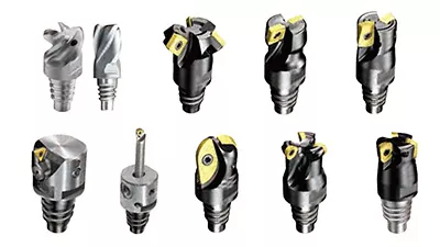 Various types of integrated holders with replaceable heads