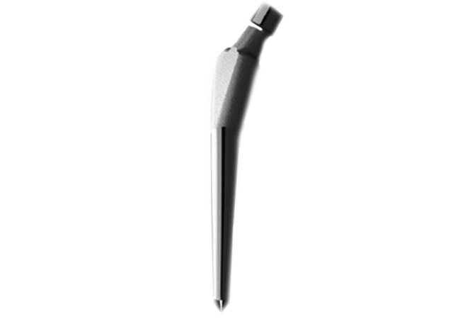 Stem