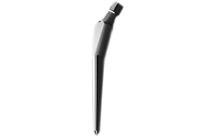 Stem